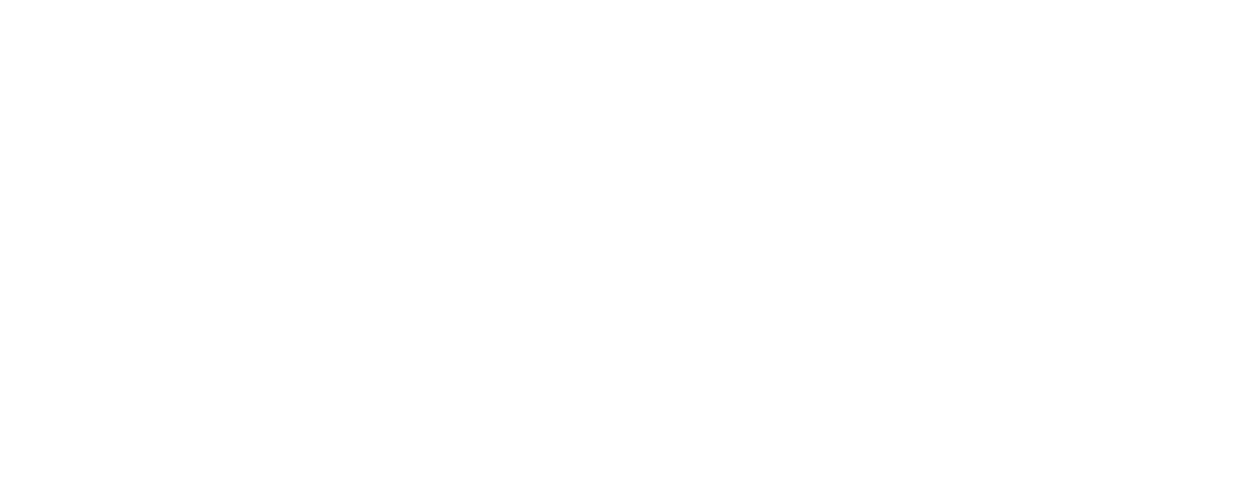 Visual Connections Logo